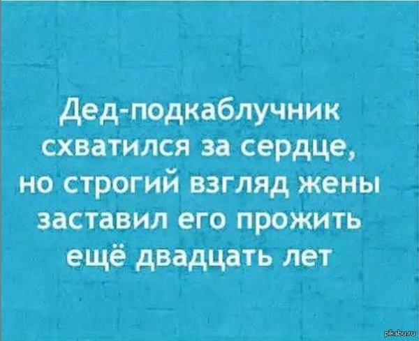 анекдот про