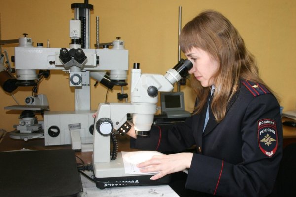 эксперт криминалист