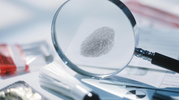 судебная экспертиза