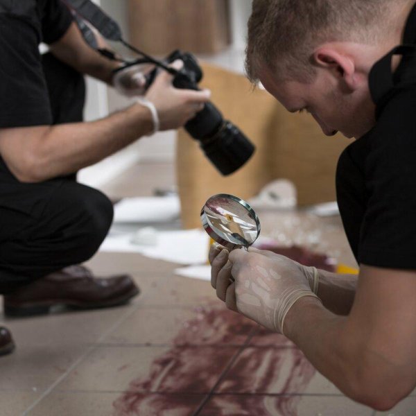 криминалисты на месте преступления