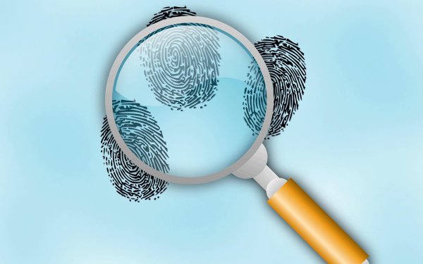 криминалистика фон