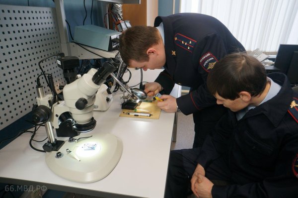 экспертно криминалистическая деятельность