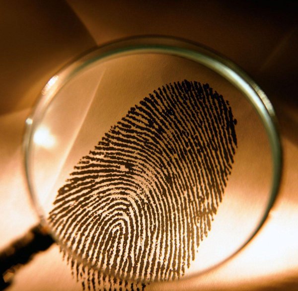 криминалистическая трасология