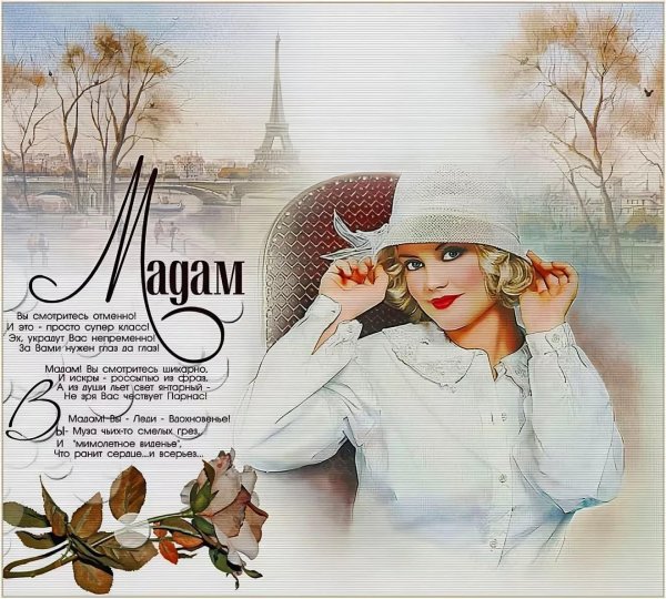 мадам леди