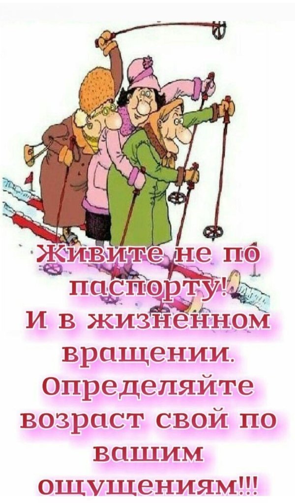 шуточные высказывания