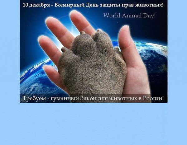 международный день прав животных