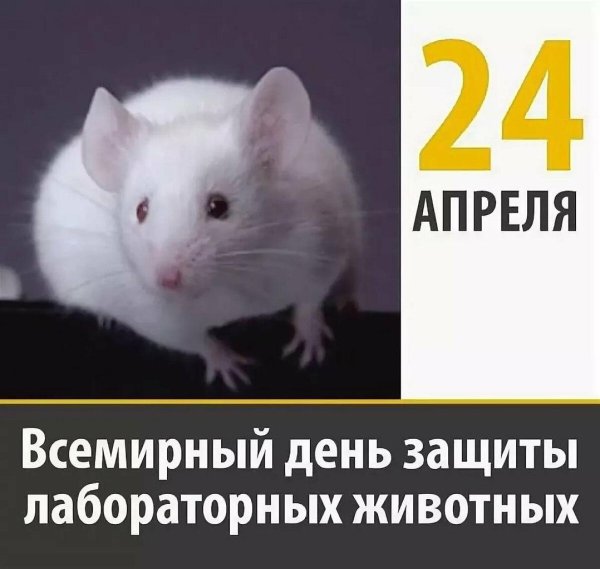всемирный день защиты лабораторных животных
