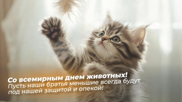с днем животных