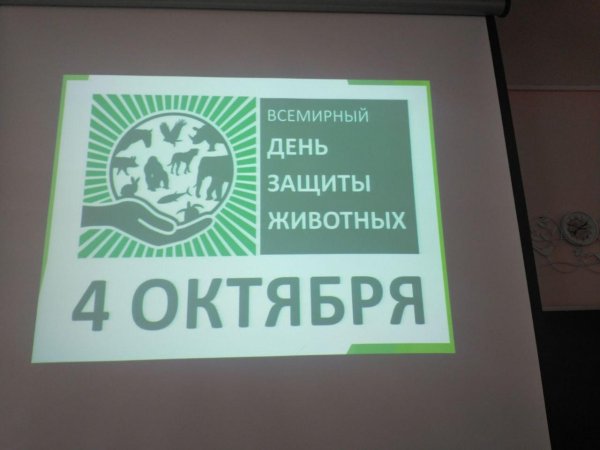 4 октября международный день защиты животных