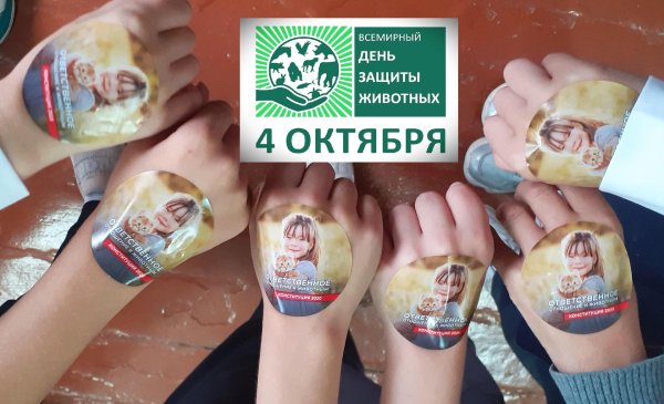 4 октября день защиты животных