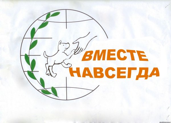 благотворительные фонды