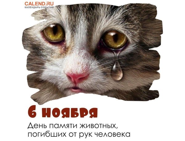 день памяти животных погибших от рук человека
