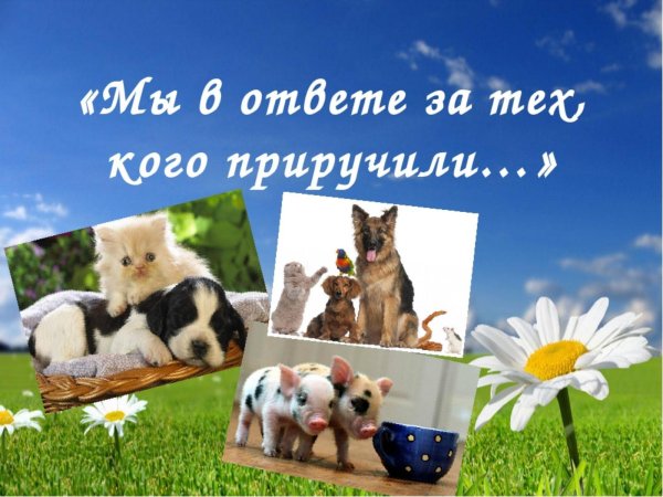 мы в ответе за тех