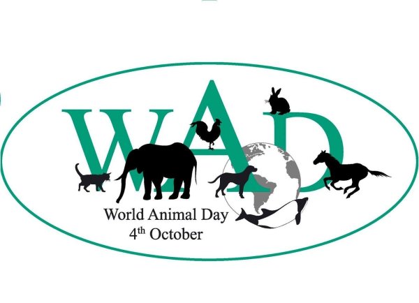 world animal day