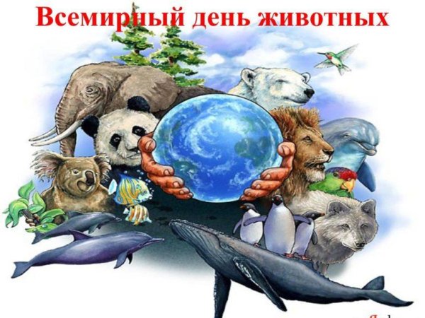 4 октября международный день защиты животных