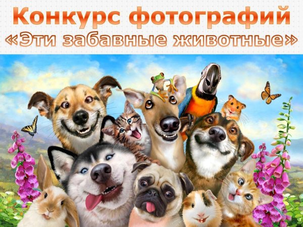 много зверей