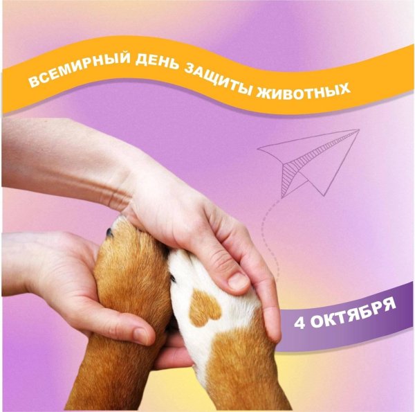 4 октября международный день защиты животных