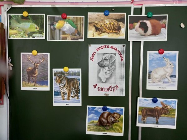 урок эколята молодые защитники природы