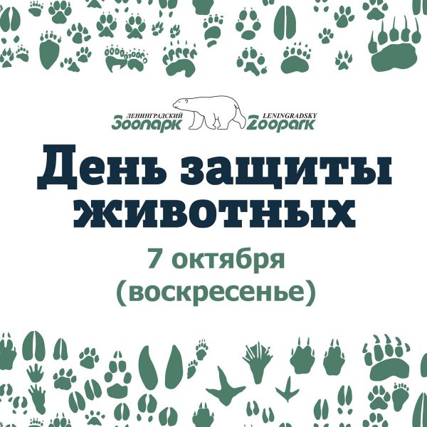 с днем защиты животных