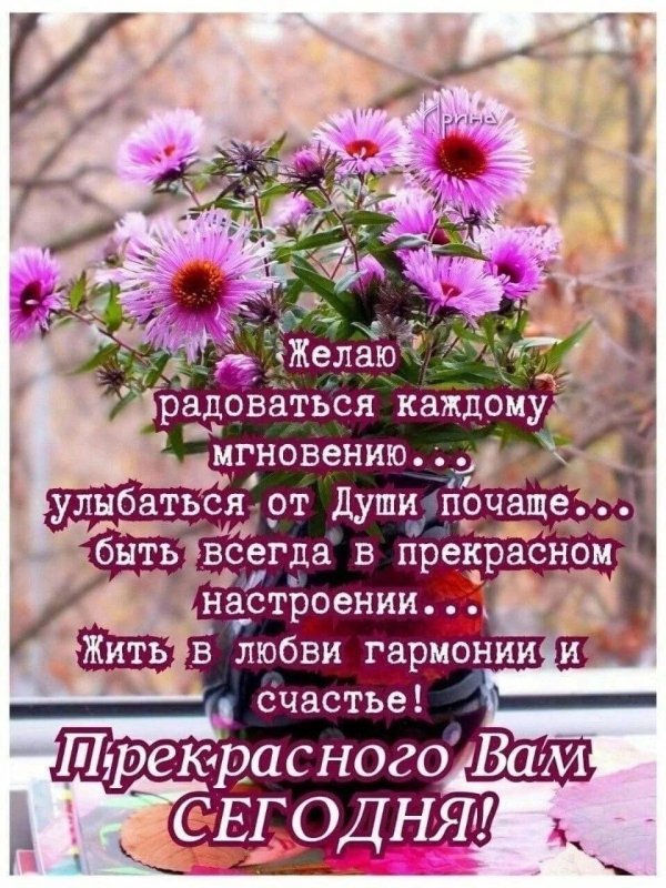Последние деньки лета