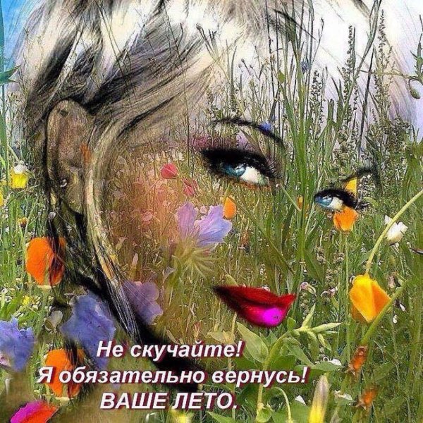 летние деньки