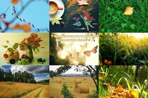 осенние явления природы