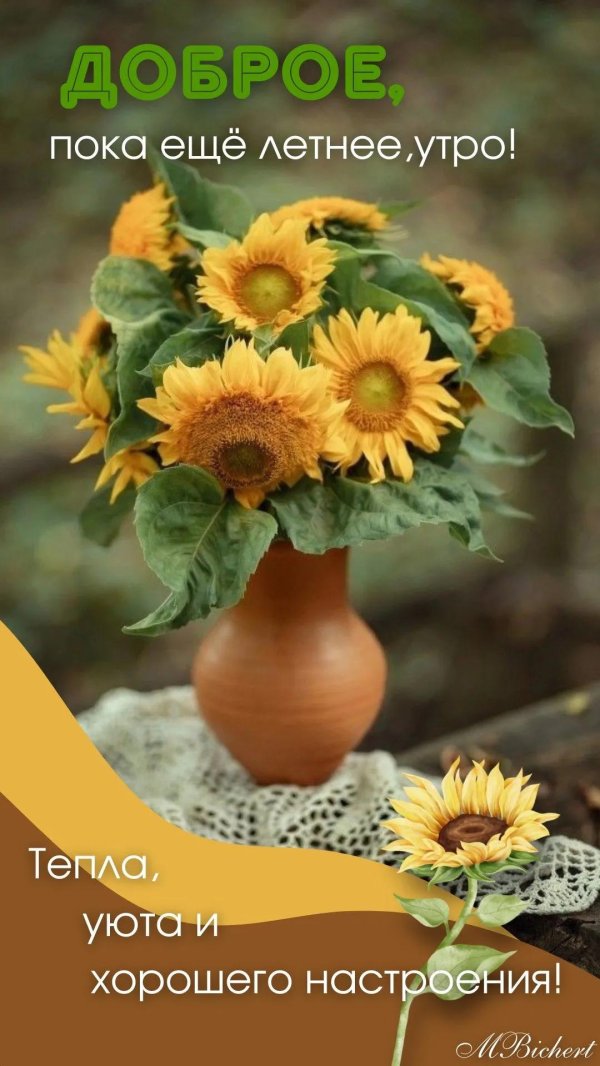 доброго летнего утра