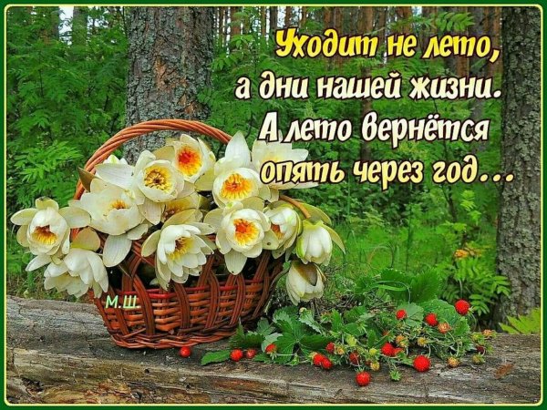 Последние деньки лета