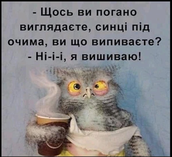 невыспавшаяся сова