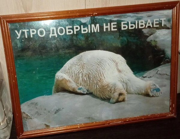 утра доброго