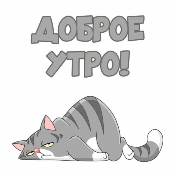 Утро добрым не бывает