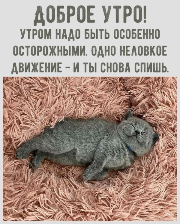 доброго утра смешное