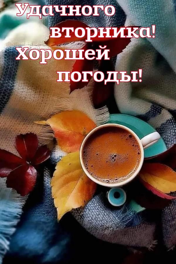 доброе утро осень вторник