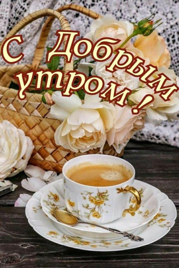 добра утра