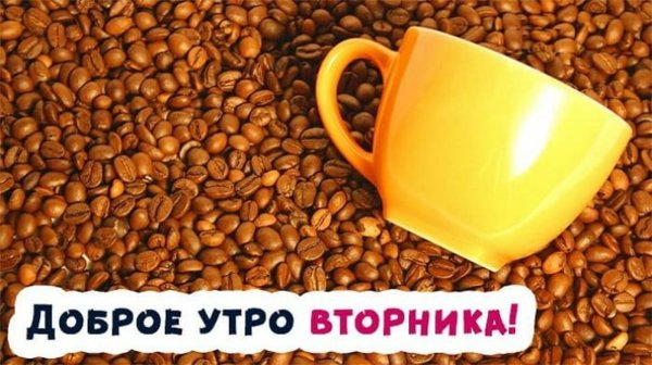 кофе зерна
