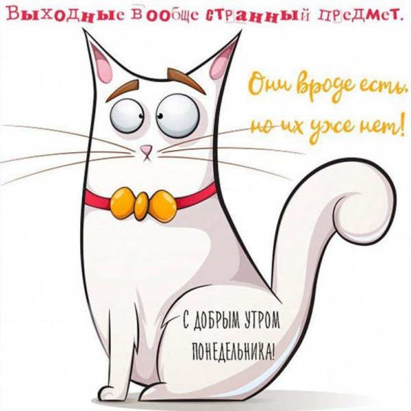 рисованные коты
