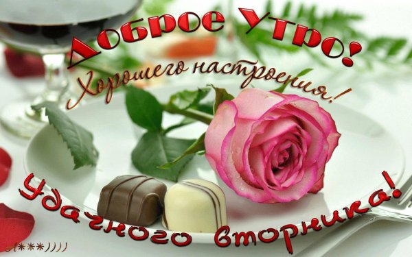 доброго утра с розами