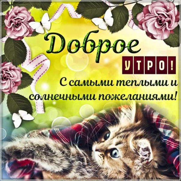 с добрыми пожеланиями