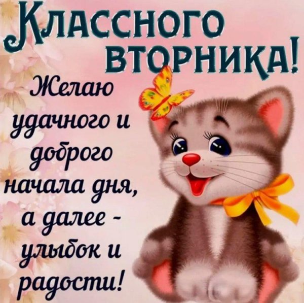 поздравление со вторником