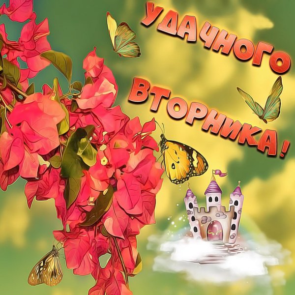 бугенвиллия цветок