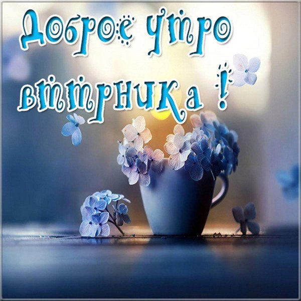 доброе утро весна вторник