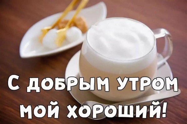 доброго утра мужчине