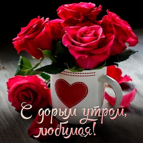 доброго утра любимая