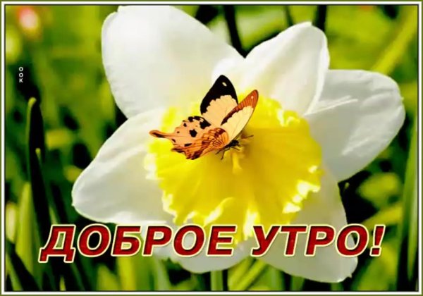 доброго светлого утра