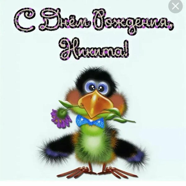 открытка с днём рождения никита прикольные