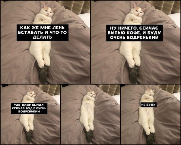 просыпайся на работу