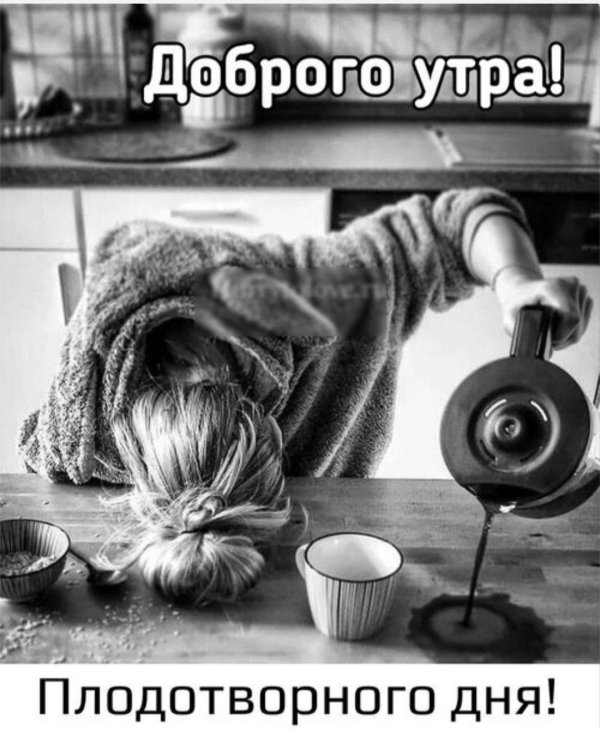 утренние демотиваторы