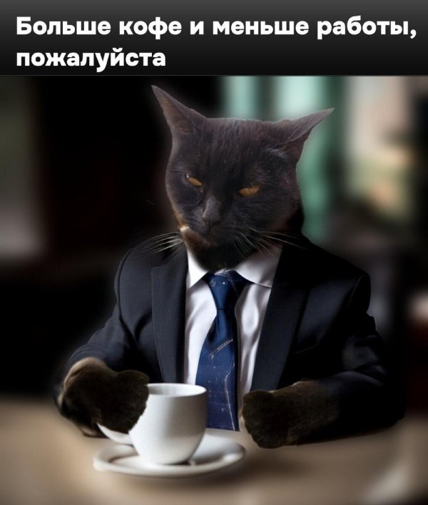 кот деловой