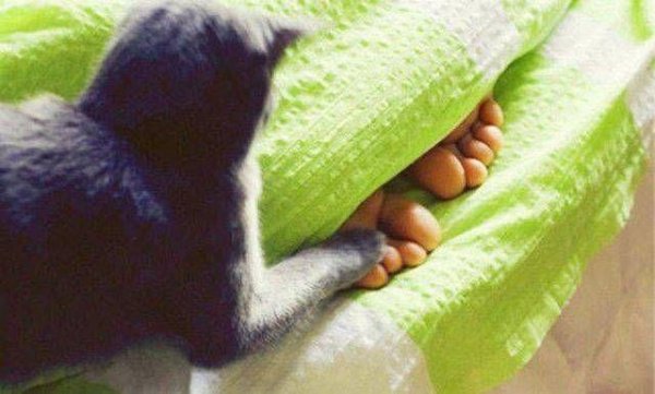 Утро начинается не с кофе