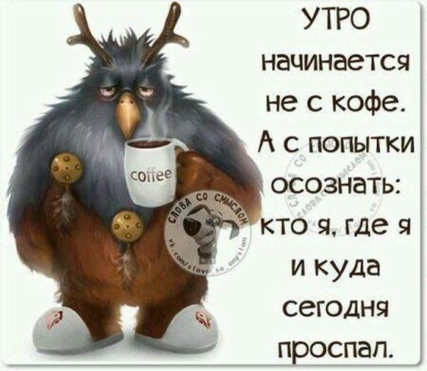 доброго утра юмор